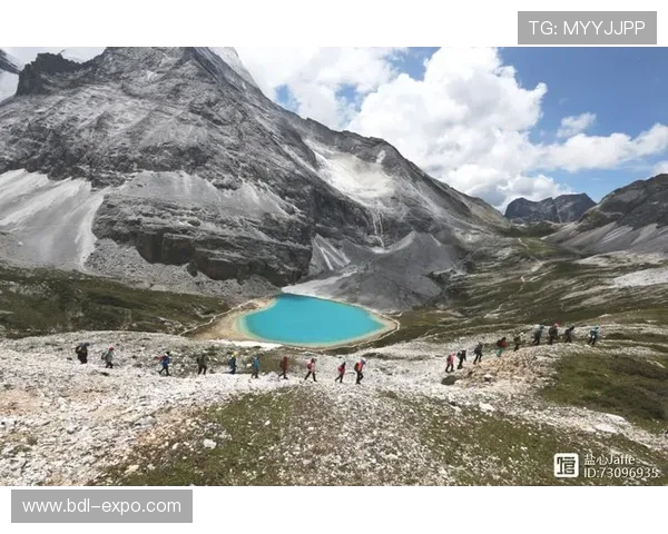 武汉攀岩队的反击之路:挑战与收获的深度剖析