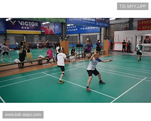 王丽独家分享羽毛球技巧与心得助你提升竞技水平